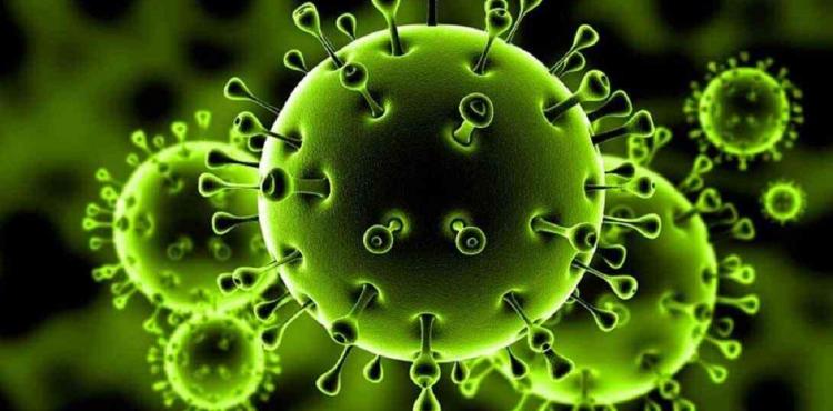 كورونا - السلالة البريطانية.jpg