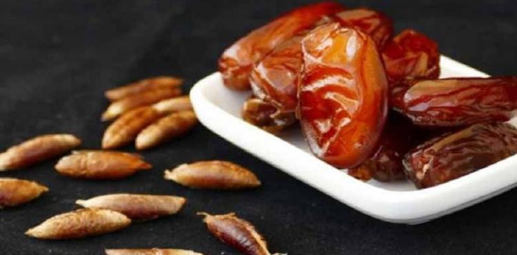 نواة التمر.jpg