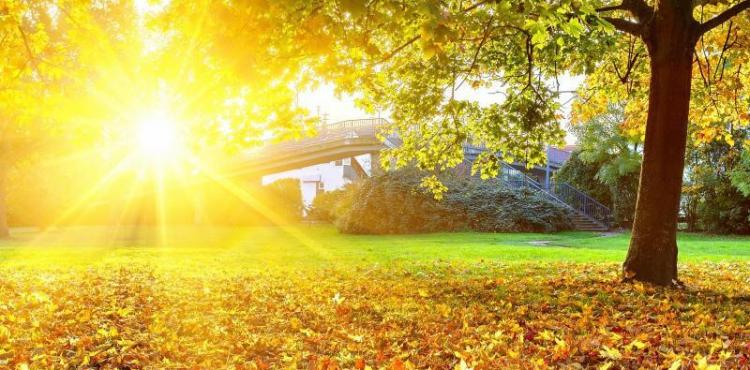 أجواء دافئة - حالة الطقس