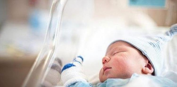 احصائية المواليد والوفيات.jpg