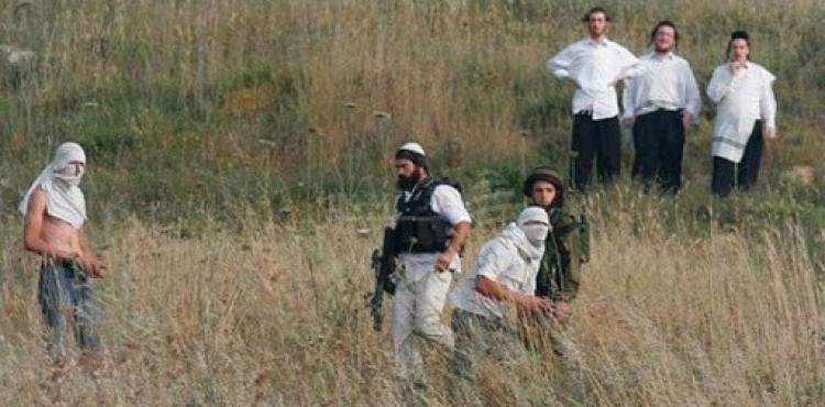 مستوطنين يطلقون النار على المواطنين في الخليل.jpg