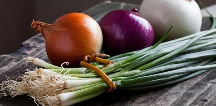 البصل.jpg