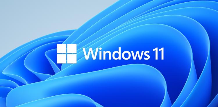 ويندوز 11