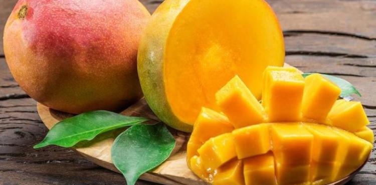 فاكهة المانجو.jpg