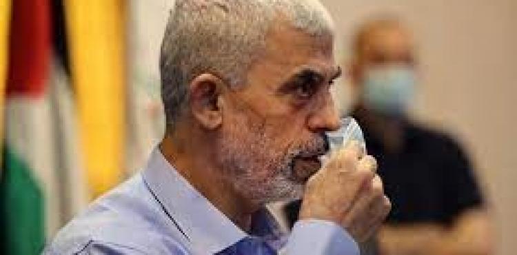 السنوار.jpg