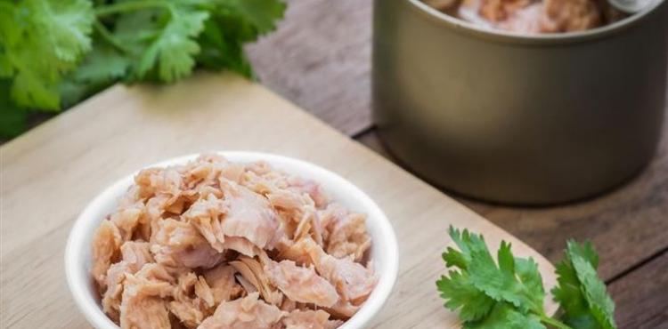 تونة معلبة.jpg