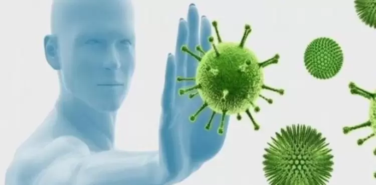 الجهاز المناعي.webp