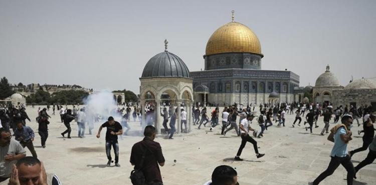 انتهاكات الاحتلال.jpeg