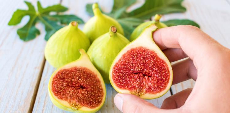 فاكهة التين.jpg