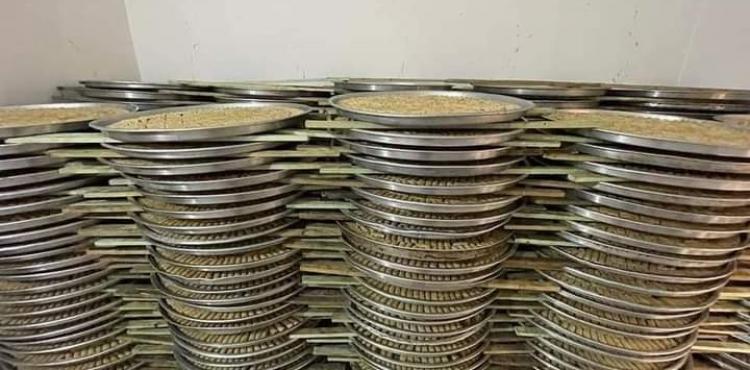 صواني حلويات.jpg