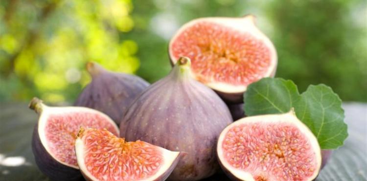 فاكهة التين.jpg
