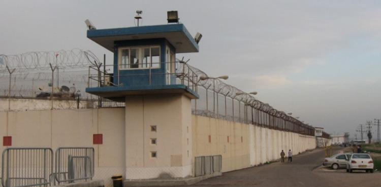 سجن النقب الصحراوي.jpeg