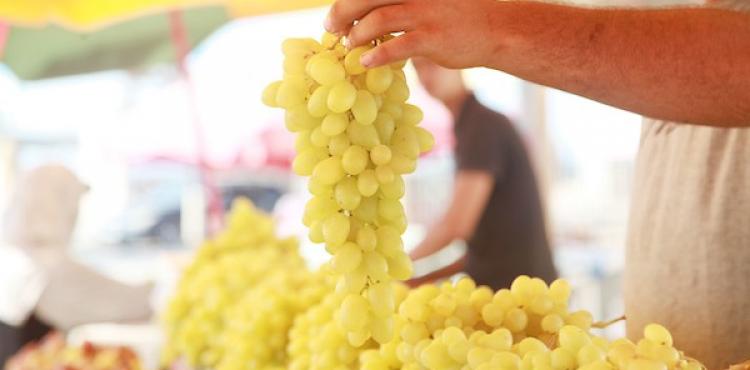 عنب وتين ‫(30322569)‬ ‫‬.jpg