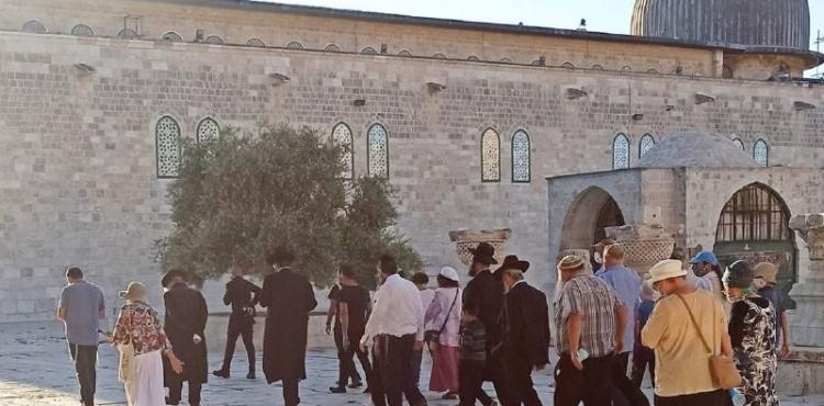 اقتحامات الاقصى (2).jpg