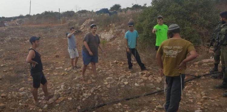 مستوطنون يزرعون الزيتون.jpg