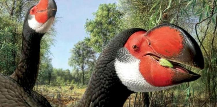 طائر عملاق.jpg