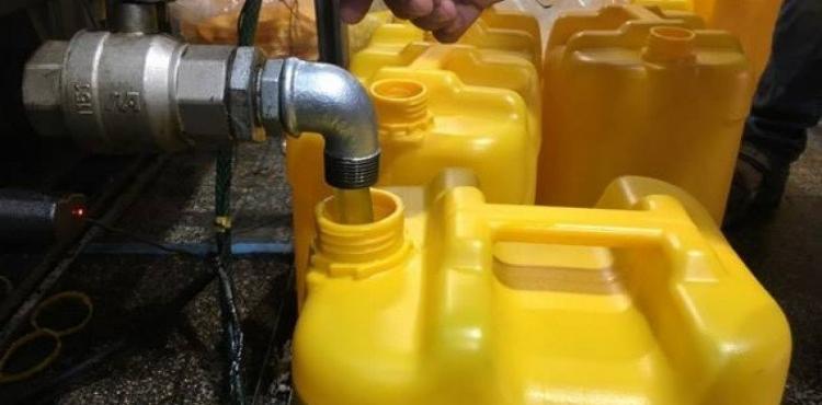 زيت الزيتون.jpg