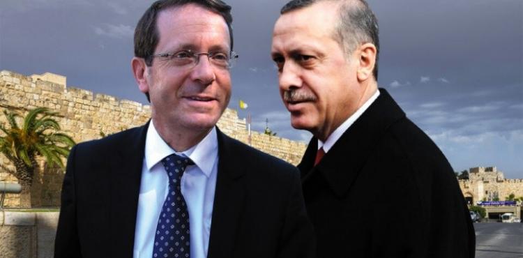 اردوغان وهرتسوغ.jpg