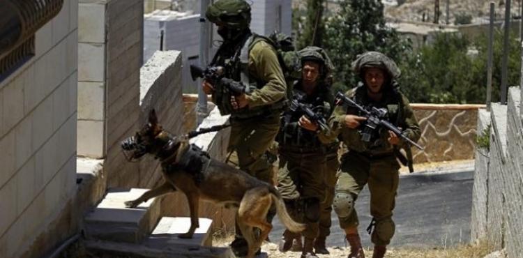 قوات الاحتلال.jpeg