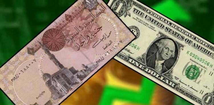 سعر الدولار في مصر اليوم الجمعة مقابل الجنيه.jpg