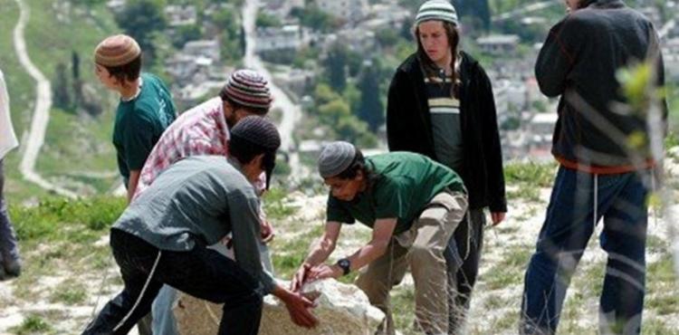 مستوطنون يحطمون مركبات فلسطينية.jpg