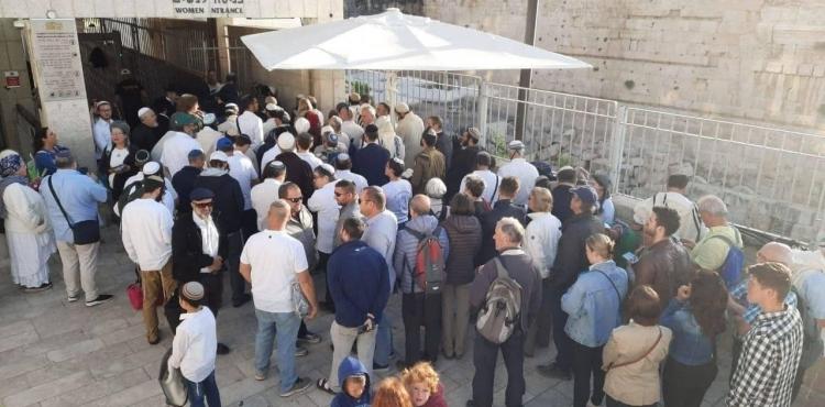 مستوطنون يقتحمون الأقصى.jpg