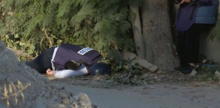 الشهيدة الصحفية شيرين أبو عاقلة.jpg