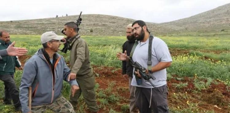 مستوطنون يدمرون اشتال الزيتون.jpg