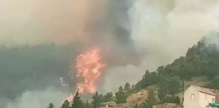 حرائق الجزائر.webp