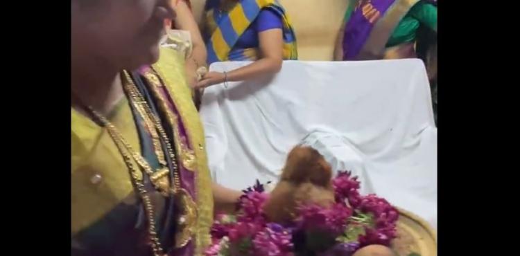 حفل زواج في الهند.JPG