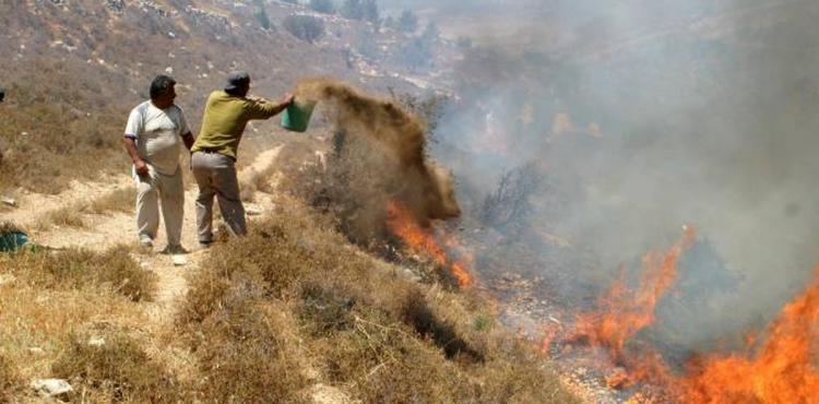 مستوطنون يضرمون النيران في أراضي المواطنين.jpeg