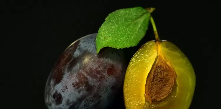 فاكهة البرقوق.webp