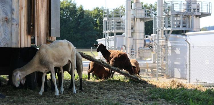 منشاة تخزين الغاز