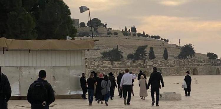 مستوطنون يقتحمون الأقصى 2.jfif