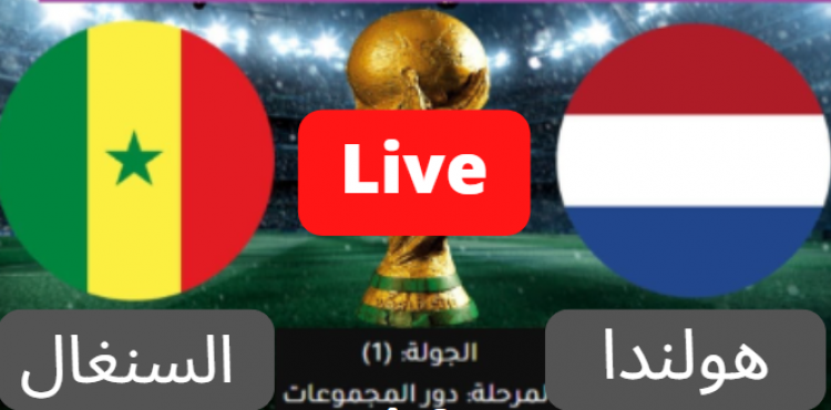 مشاهدة مباراة السنغال و هولندا اليوم الاثنين 21_11_2022