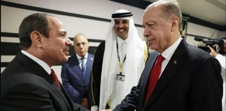 السيسي واردوغان