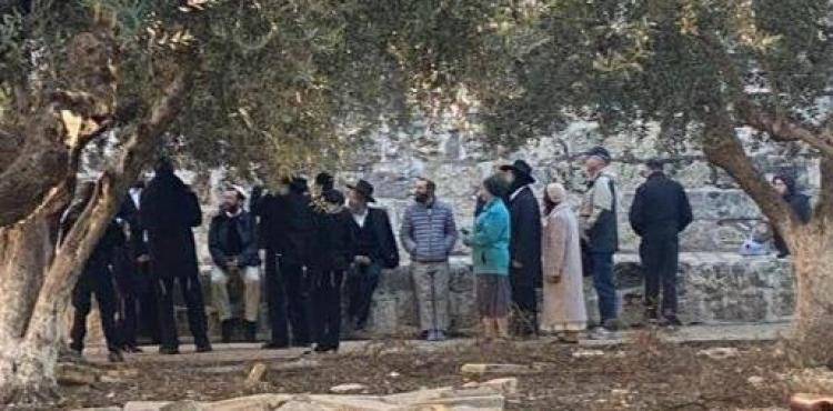 مستوطنون يقتحمون الأقصى