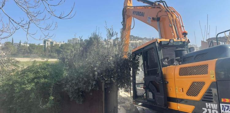 هدم منزل.jpg