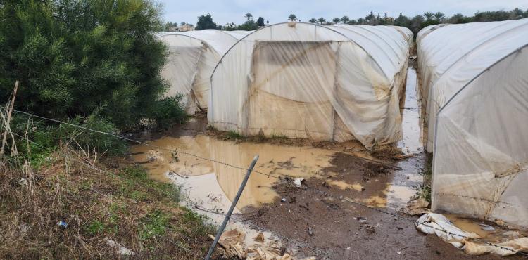 المنخفض في دير البلح (2).jpg