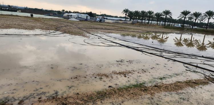 المنخفض في دير البلح (1).jpg