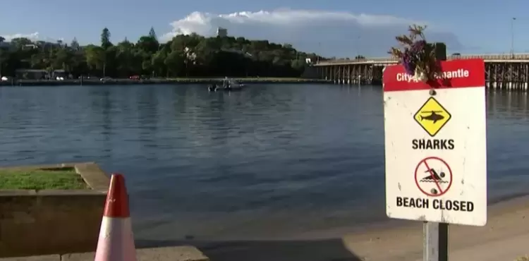 نهر استرالي