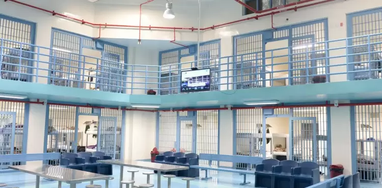 السجون السعودية.webp