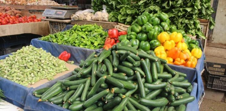 الخيار والفلفل .. أسعار الخضار.jpg