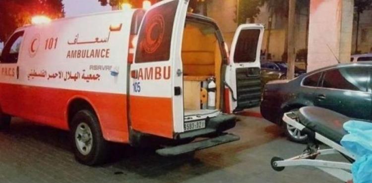 شجار قلقيلية