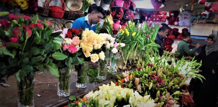 موسم عيد الأم 2023 - ست الحبايب.jpg