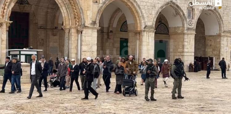 اقتحام الأقصى 3.jpg