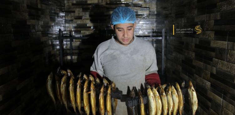 تجهيز سمك الفسيخ (5).jpg