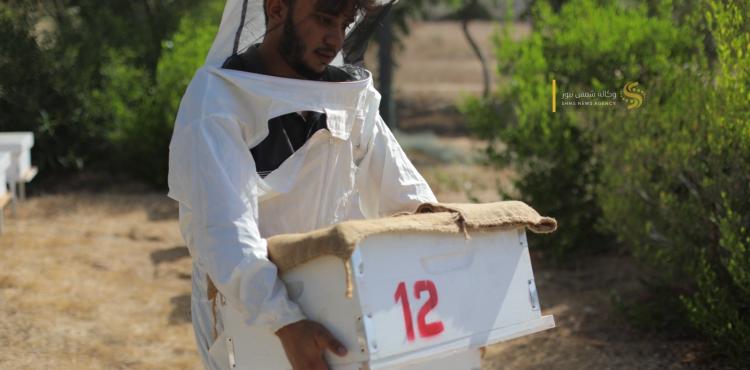 موسم جني العسل 20.jpg