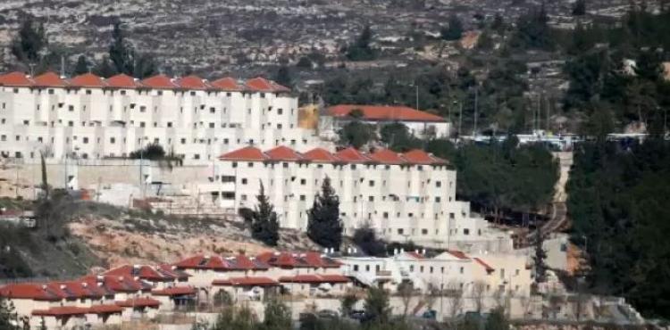 مستوطنة عيلي.JPG