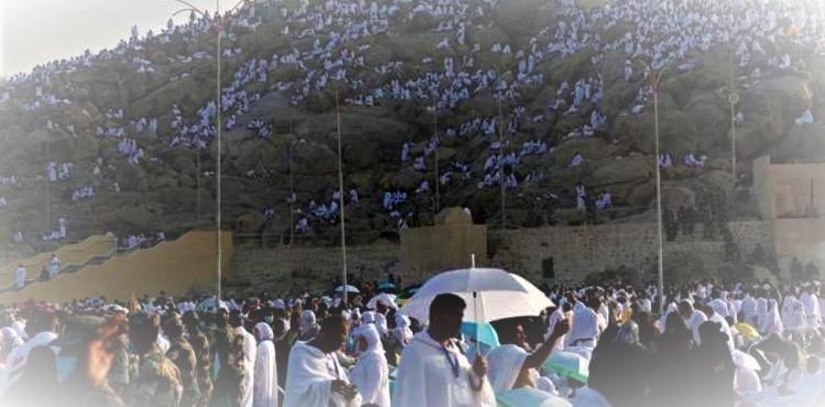 رابط بث مباشر جبل عرفات 2023 – 1444 –الحجاج يتوافدون على عرفات لأداء الحج الأكبر.jpg